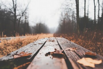 Autumn landscape with wooden path in