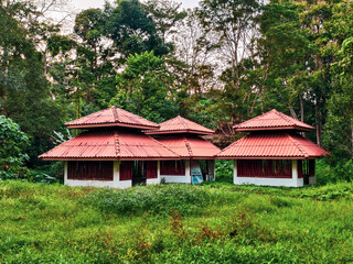 Traditional Red-Roofed Houses Nestled in Lush Green Forest Landscape with Vibrant Foliage and Tranquil Atmosphere.