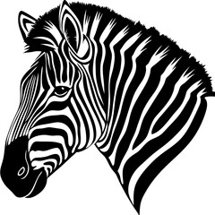 zebra vector