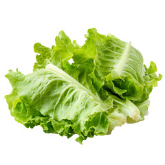 Lettuce leaves