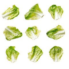 Lettuce leaves