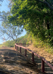 Outdoor countryside hiking path street and staircases with green trees