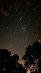 Starry night sky with the Milky Way and silhouetted forest at sunset