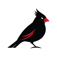 Northern Cardinal vector art illustration