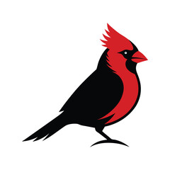 Northern Cardinal vector art illustration
