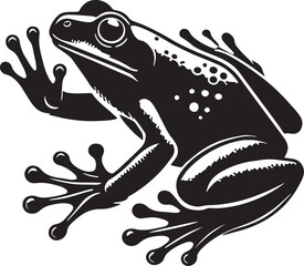 illustration of a frog