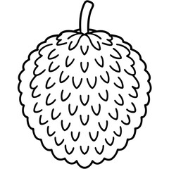 Jackfruit line art vector