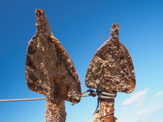 Cabeza de dos anclas con molusco