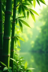Soft morning light filtering through bamboo leaves, tranquil atmosphere, greenery