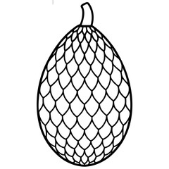 Minimalist Salak Fruit Vector Line Art