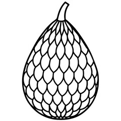 Minimalist Salak Fruit Vector Line Art