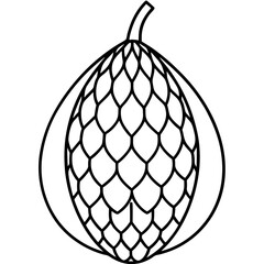 Minimalist Salak Fruit Vector Line Art