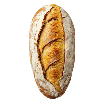 loaf of baquette bread top view white background