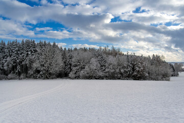 Fototapeta premium Winter im Allgäu