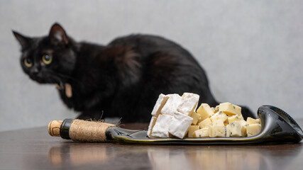 A black cat is looking at a plate of cheese