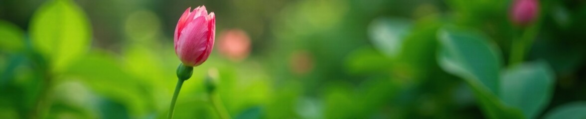 Delicate pink petals unfolding from a green stem amidst lush foliage, nature, garden, growth