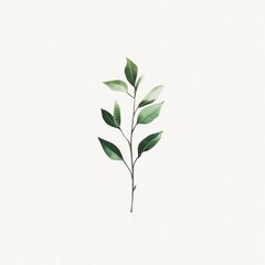 Obraz premium Single Green Stem With Delicate Leaves Against White Background