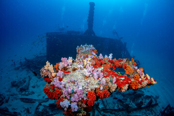 Taprobane wreck dive site