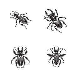 4 Set of Elegant Vector Silhouettes of the Water Tiger Beetle Isolated on a White Background in Monochrome Art Style