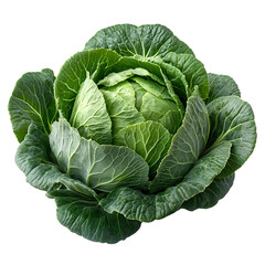 cabbage vegetable png. leafy green vegetable cabbage isolated. fresh and organic cabbage top view png. green vegetable for healthy food designs and organic recipes isolated