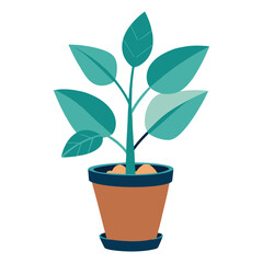 Potted plant with green leaves growing in a flowerpot on a white background