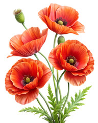 Vibrant Orange Poppy Bouquet