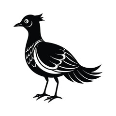 silhouette of a bird vector illustration