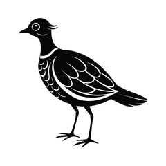 peewit bird silhouette vector illustration