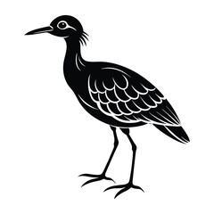 peewit bird silhouette vector illustration