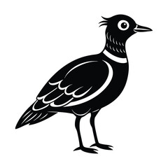 peewit bird silhouette vector illustration
