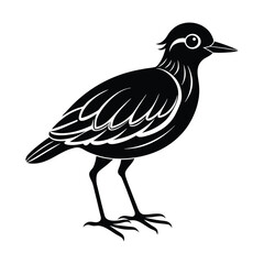 bird silhouette vector illustration on white background