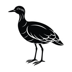 bird silhouette vector illustration on white background