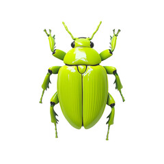 Radiant Beetle in Focus: A vibrant green beetle, captured in stunning detail, showcasing its unique features and iridescent charm in a studio setting.