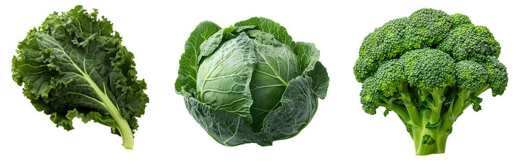 leafy greens set PNG. kale vegetable png. cabbage head isolated. fresh and organic broccoli top view png. green vegetables for healthy food designs and organic recipes isolated. lettuce isolated