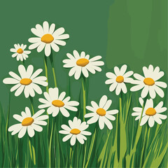 Daisies with yellow centers against a green background.