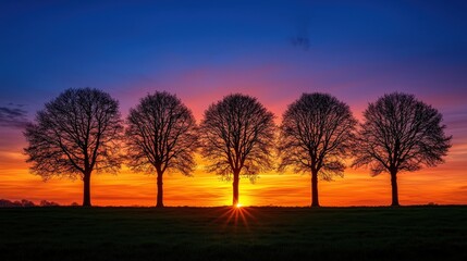 Five silhouetted trees against a vibrant sunset, showcasing a stunning gradient of colors in the sky, creating a serene and picturesque landscape.