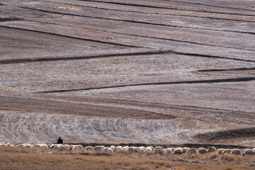 Light snowy terrain