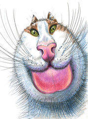 Portrait of the Funny fluffy fat cat with green eyes illustration. Caricature, stylization illustration hand-made