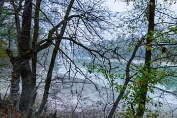 Floodplain forest in Gemenc