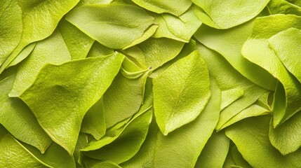 A close-up view of vibrant green leaves layered together.