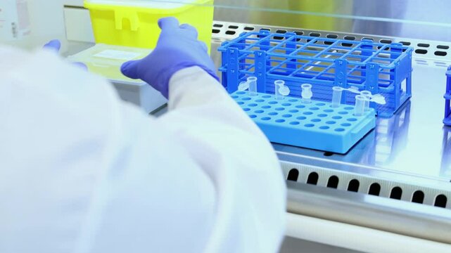 Scientist placing samples in a laminar flow cabinet in laboratory