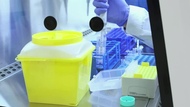Scientist handling samples in biosafety cabinet