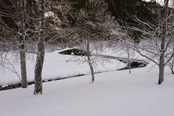 Frozen winter landscape at Engelberg in the Swiss alps