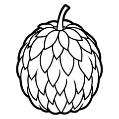 Elegant Balsam Apple Vector Art Design