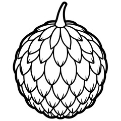 Elegant Balsam Apple Vector Art Design