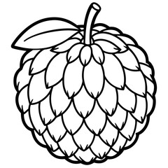 Elegant Balsam Apple Vector Art Design