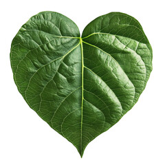 Obraz premium large green leaf shaped heart isolated on white transparent background