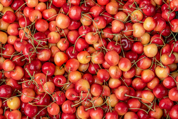 Fresh Cherries Available in a Variety of Beautiful Shades A Perfect Summer Fruit Treat
