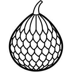 Geometric Salak Line Art Design