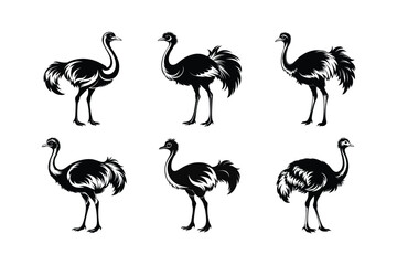 Ostrich silhouette vector art illustration